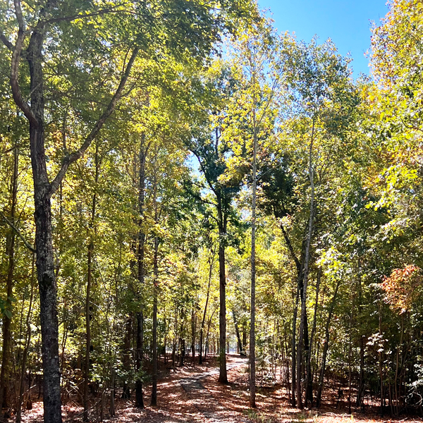 WhiteWater Landing Interior Lake Lots from just $69,900