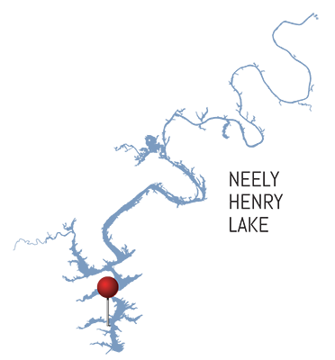 Lakeview Estates  |  Neely Henry Lake, AL  |  American Land Holdings