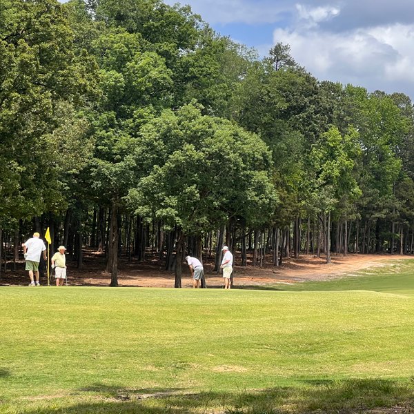 WhiteWater Landing Golf View Lots from just $89,900